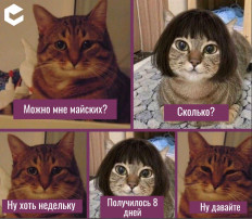 Как отдыхаем на майские праздники Как отдыхаем на майские праздники.
